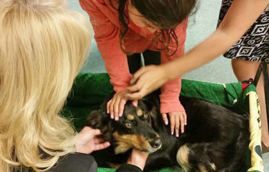 GAB visits Marquette Elementary School